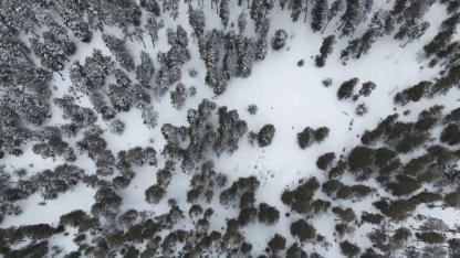 Sarıkamış ormanları beyaza büründü