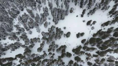 Sarıkamış ormanları beyaza büründü