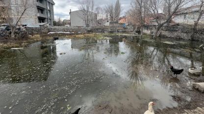 Kars'ta su altında kalan bahçe için kalıcı çözüm bulunamıyor