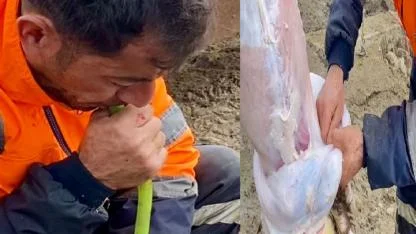 Kasaplıkta modern yöntemle geleneksel ustalık