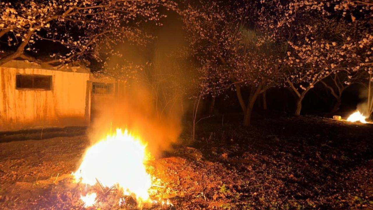 Kayısı bahçelerinde don tehlikesine karşı geleneksel koruma