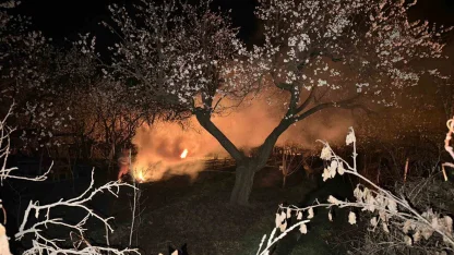 Kayısı bahçelerini ateş ve dumanla donmaya karşı koruyorlar