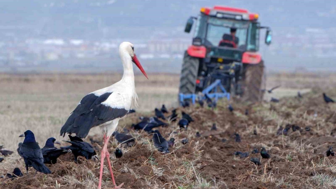 Meteorolojiden zirai don uyarısı