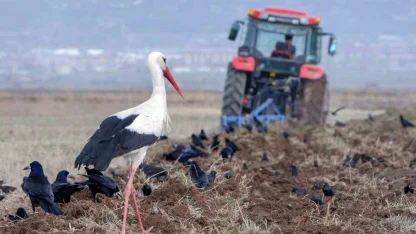 Meteorolojiden zirai don uyarısı