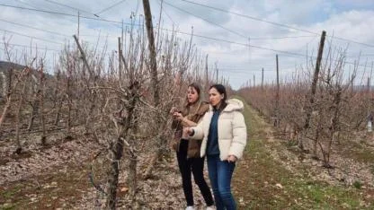 Meyve bahçelerinde verimi artıracak teknik inceleme