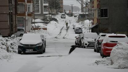 Sarıkamış'ta kar yağışı etkili oldu