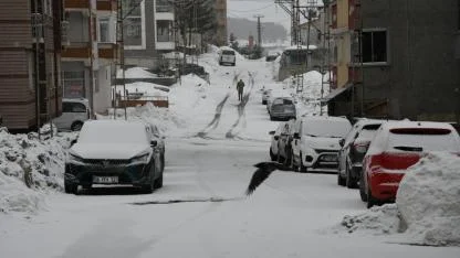 Sarıkamış'ta kar yağışı etkili oldu