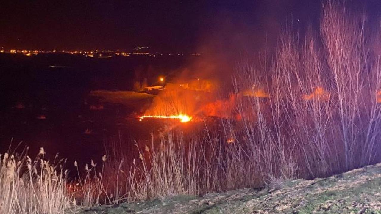 Sazlıkları küle çeviren yangın korkuttu
