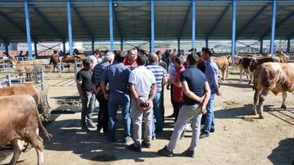 Selim’de çiftçi mallarını koruma faaliyetleri başlatıldı