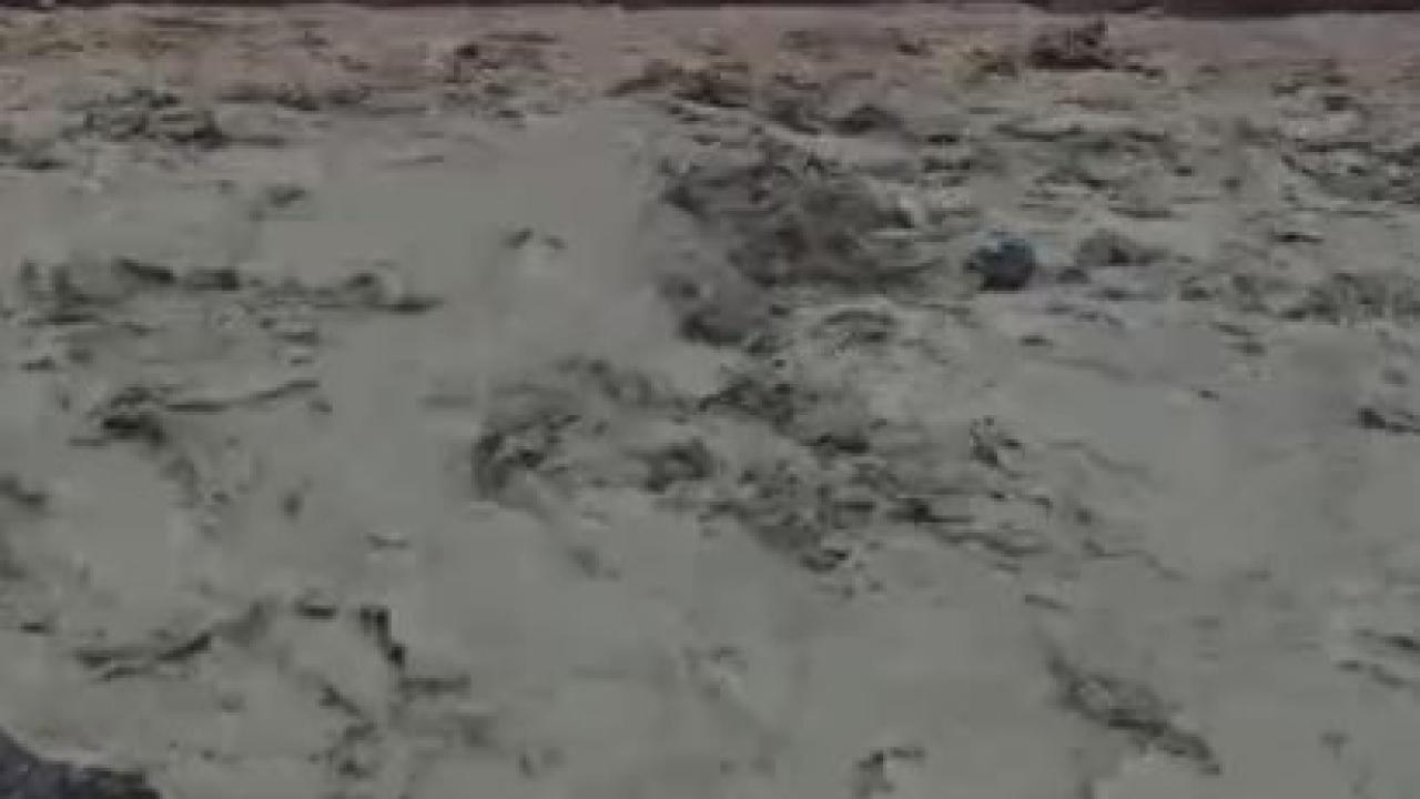 Şiddetli yağış sele neden oldu