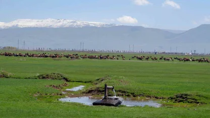 Tarımda önder üretici modeli vurgusu