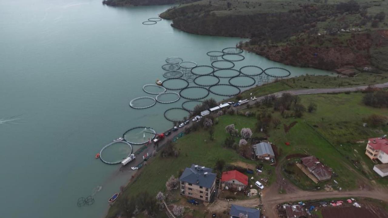 Uzunçayır Barajında kafes balıkçılığına ilk adım