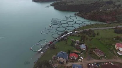 Uzunçayır Barajında kafes balıkçılığına ilk adım