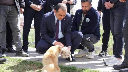 Vali Taşolar, Iğdır Geçici Hayvan Bakımevi’ni ziyaret etti