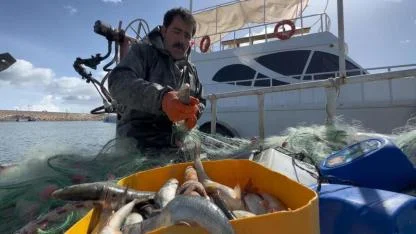 Van Gölü'nde inci kefali av yasağı başlıyor