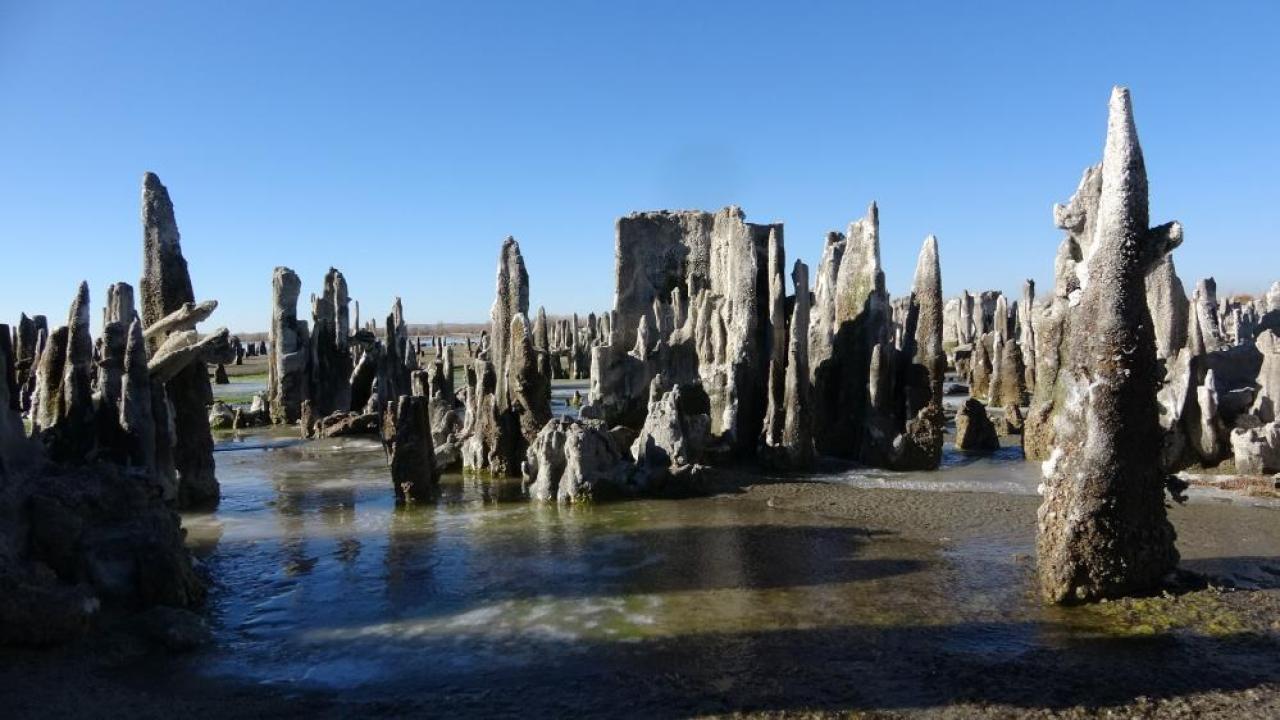 Van Gölü’nün dev mikrobiyalitleri rekor yolunda