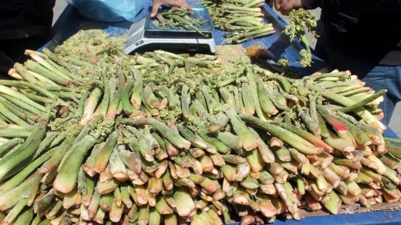 Yayla muzu tezgahlarda yerini aldı