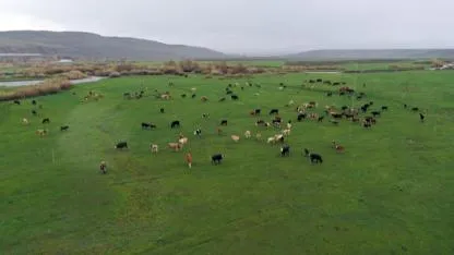 Ağrı’da kışın ardından meralara dönüş başladı