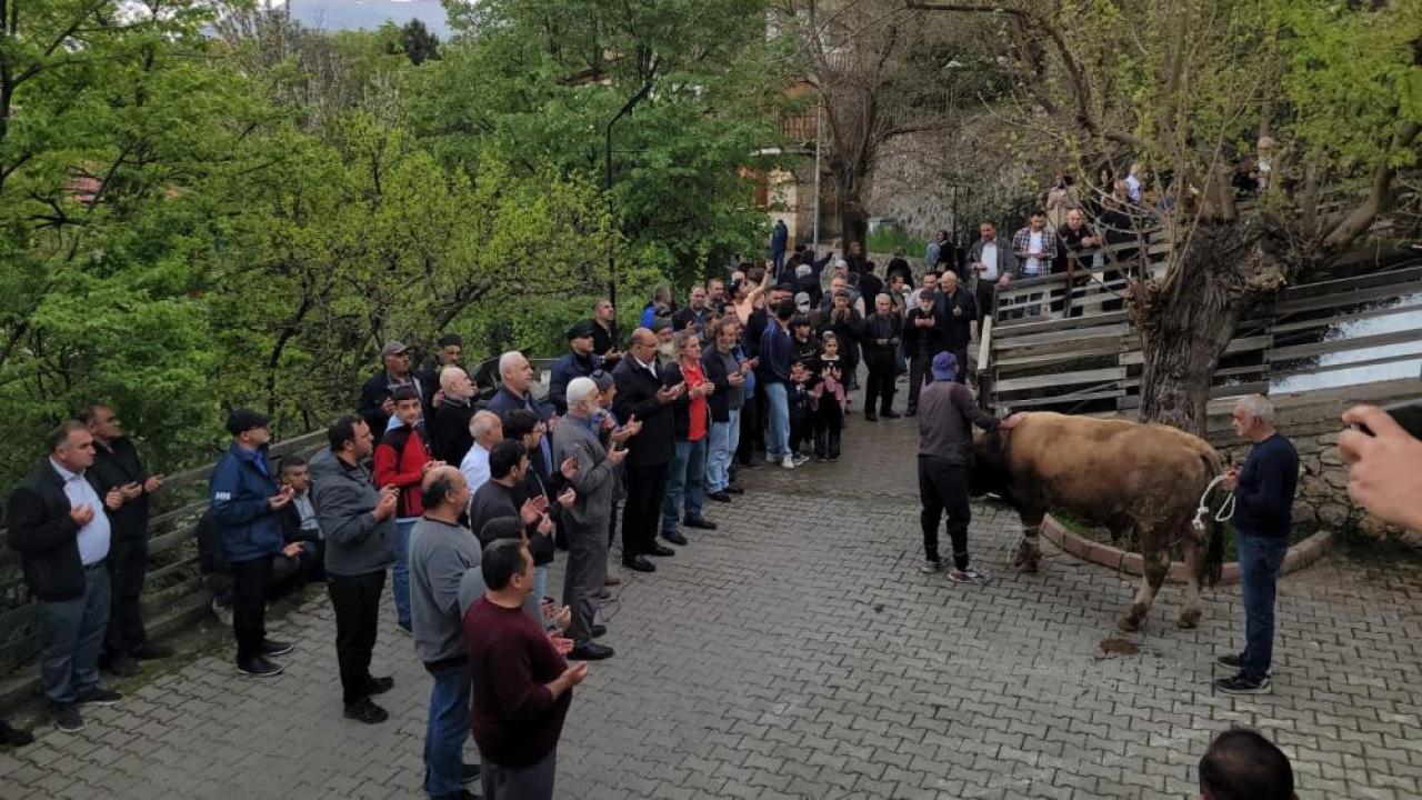 Asırlık gelenek şükür kurbanıyla yeniden yaşatıldı