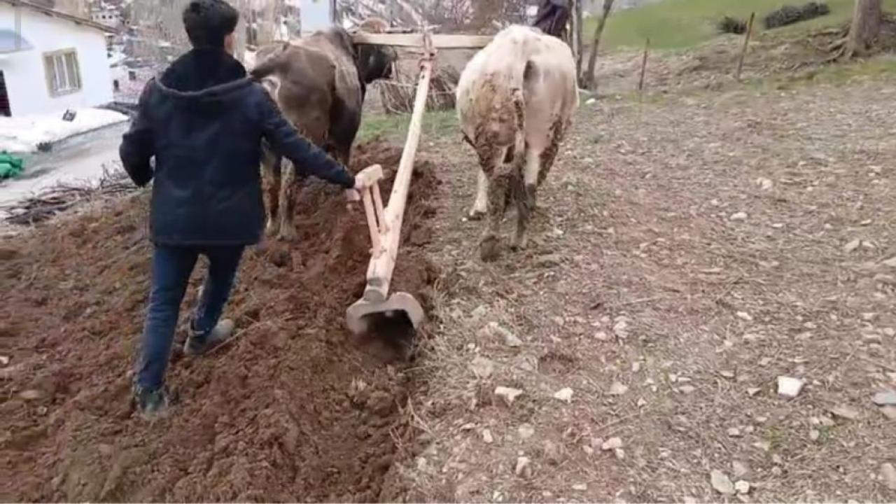 Bahçesaray’da bin yıllık tarım geleneği sürüyor