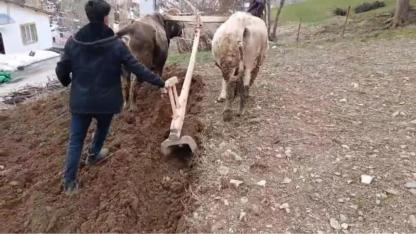 Bahçesaray’da bin yıllık tarım geleneği sürüyor