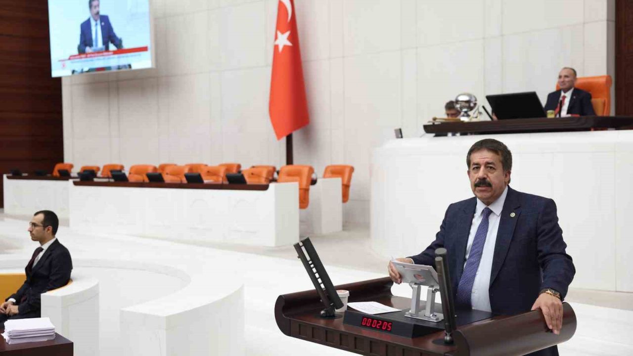 Başıboş sokak köpekleri için Erzurum modeli önerisi