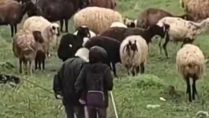 Çoban çocukların türkü keyfi kamerada