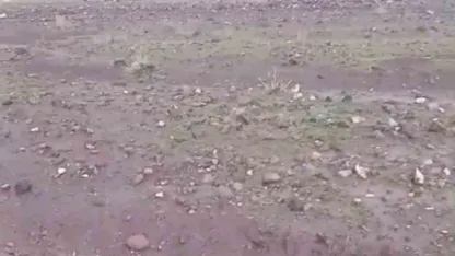 Iğdır’da sağanak ve dolu sonrası sel: Hayvanlar son anda kurtarıldı