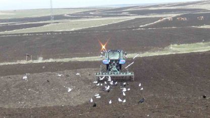 Kars’ta kış uzadı, ekim gecikti: Çiftçi zamanla yarışıyor