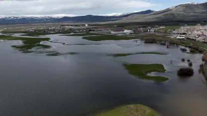 Kura Nehri taştı, tarım arazileri sular altında kaldı