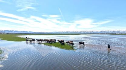 Kura Nehri’nde debi artışı dronla görüntülendi