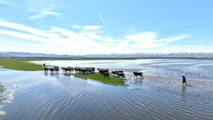 Kura Nehri’nde debi artışı dronla görüntülendi