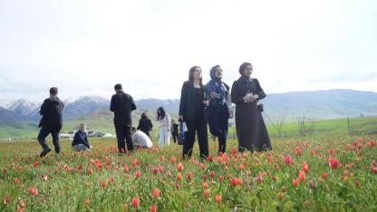 Matematik kongresine lale molası