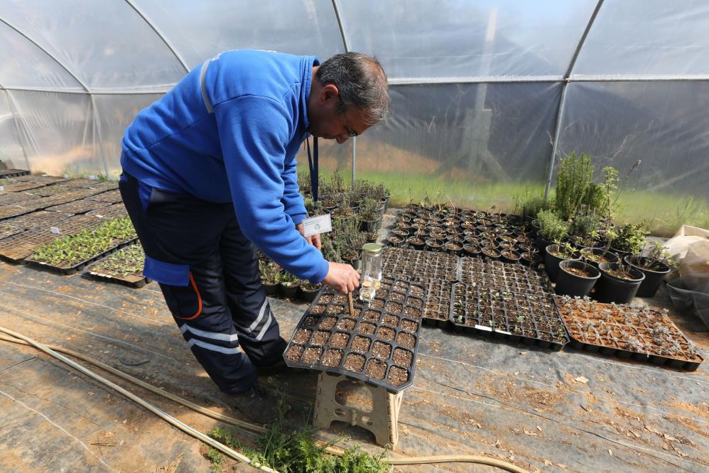 Muğla Büyükşehir Belediyesi Yerel Tohum Merkezi Kars'a tohum gönderdi